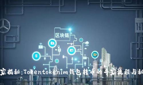 独家揭秘：Tokentokenim钱包转币的专家流程与秘诀