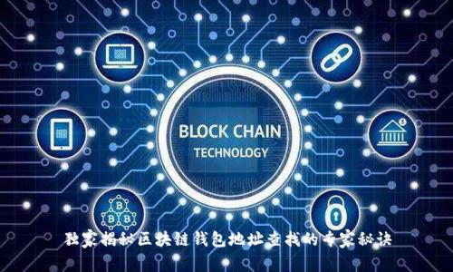 独家揭秘区块链钱包地址查找的专家秘诀
