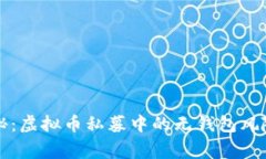 专家独家揭秘：虚拟币私募中的无钱包风险与应