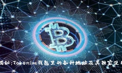 专家揭秘：Tokenim钱包里的各种地址及其独家使用秘诀