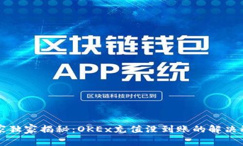 专家独家揭秘：OKEx充值没到账的解决秘诀