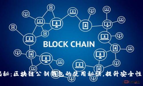 专家独家揭秘：区块链公钥钱包的使用秘诀，提升安全性与隐私保护