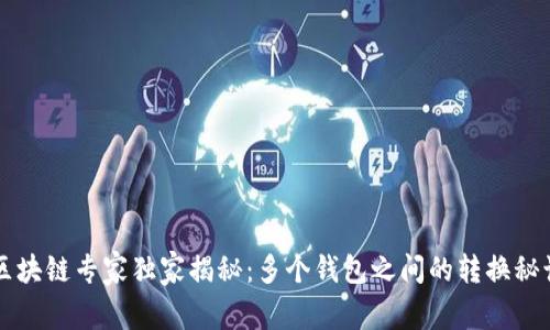 区块链专家独家揭秘：多个钱包之间的转换秘诀