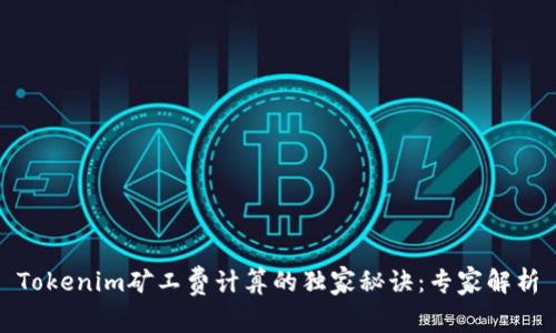 Tokenim矿工费计算的独家秘诀：专家解析