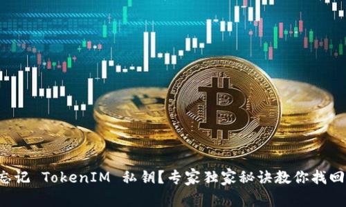忘记 TokenIM 私钥？专家独家秘诀教你找回！