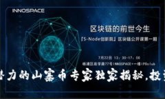 2023年最有潜力的山寨币专家独家揭秘，投资者必