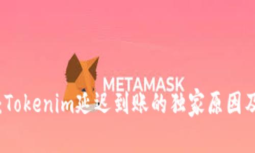 专家揭秘：Tokenim延迟到账的独家原因及解决秘诀