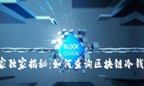 专家独家揭秘：如何查询区块链冷钱包？