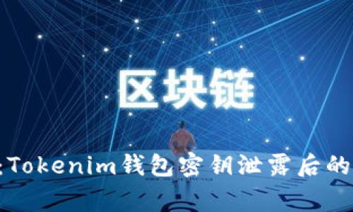 专家揭秘：Tokenim钱包密钥泄露后的处理秘诀！