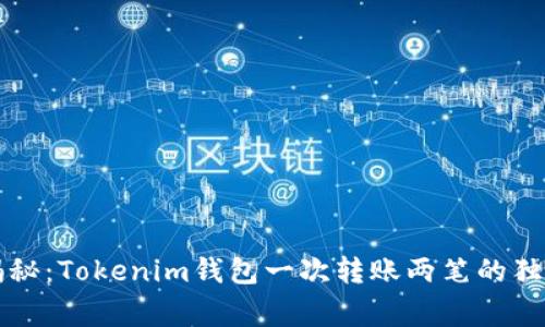 专家揭秘：Tokenim钱包一次转账两笔的独家秘诀