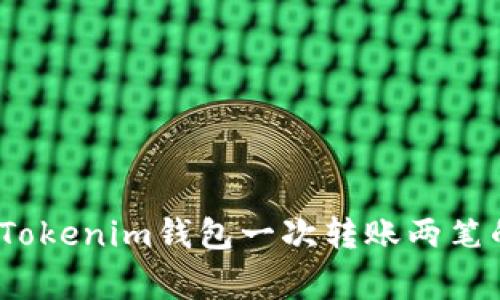 专家揭秘：Tokenim钱包一次转账两笔的独家秘诀