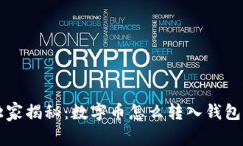 专家独家揭秘：数字币怎么转入钱包的秘诀