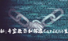 币圈ADA独家揭秘：专家教你如何在Cardano生态中盈