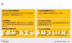 Tokenim专家揭秘：独家秘诀助力BSC链上的项目成功