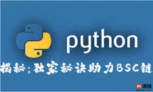 Tokenim专家揭秘：独家秘诀助力BSC链上的项目成功