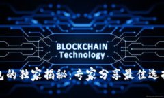 数字货币钱包的独家揭秘：专家分享最佳选择与