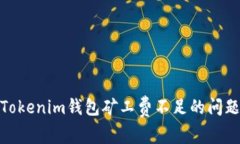 独家揭秘：如何解决Tokenim钱包矿工费不足的问题