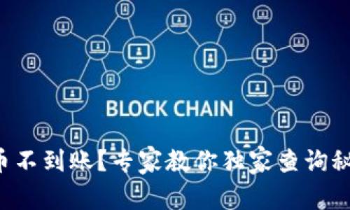 提币不到账？专家教你独家查询秘诀！