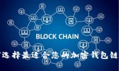 专家推荐：如何选择最适合您的加密钱包链子的