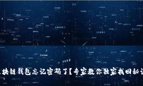 区块链钱包忘记密码了？专家教你独家找回秘诀！