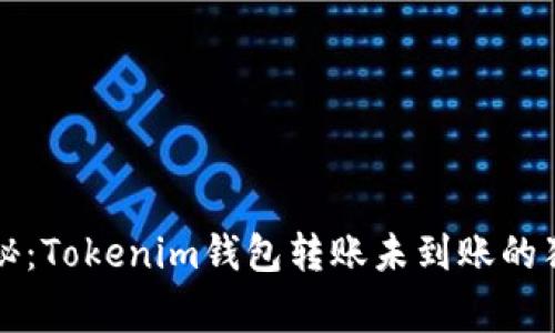 专家揭秘：Tokenim钱包转账未到账的独家秘诀