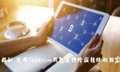 专家揭秘：使用Tokenim钱包进行跨国转账的独家秘