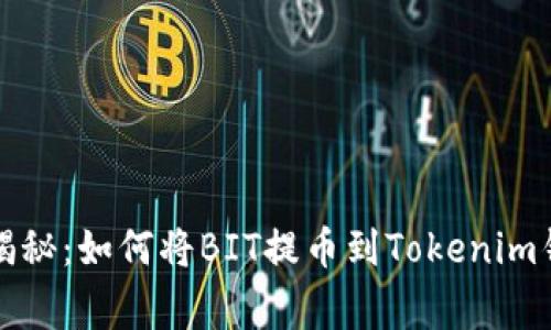 专家独家揭秘：如何将BIT提币到Tokenim钱包的秘技