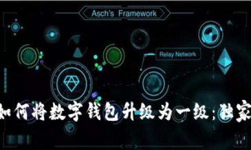 专家教你如何将数字钱包升级为一级：独家秘诀分享！