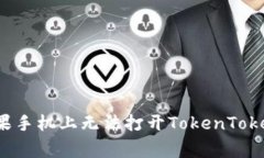 专家揭秘：解决苹果手机上无法打开TokenToken钱包