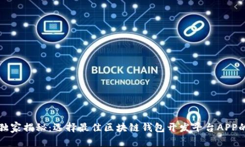 专家独家揭秘：选择最佳区块链钱包开发平台APP的秘诀
