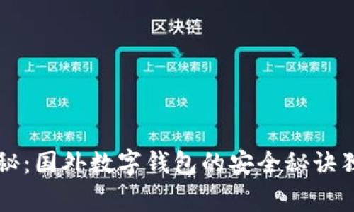专家揭秘：国外数字钱包的安全秘诀独家分享
