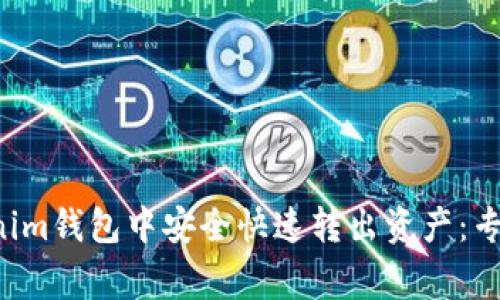 如何在Tokenim钱包中安全快速转出资产：专家独家揭秘！