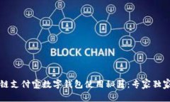 区块链支付宝数字钱包使用秘籍：专家独家解读