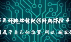   专家独家揭秘：数字货币如何顺利进入雷达钱包
