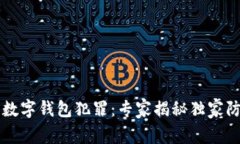 区块链数字钱包犯罪：专家揭秘独家防范秘诀