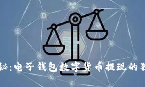 专家揭秘：电子钱包数字货币提现的独家秘诀