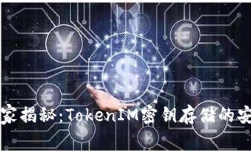 专家独家揭秘：TokenIM密钥存储的安全秘诀