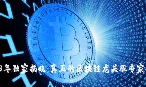 2023年独家揭晓：真正的区块链龙头股专家揭秘！