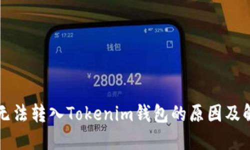 平台币无法转入Tokenim钱包的原因及解决方法