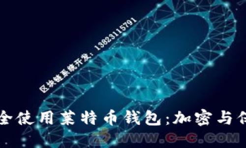 如何安全使用莱特币钱包：加密与保护指南