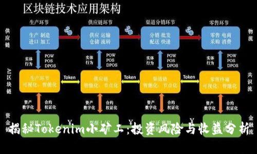 揭秘Tokenim小矿工：投资风险与收益分析