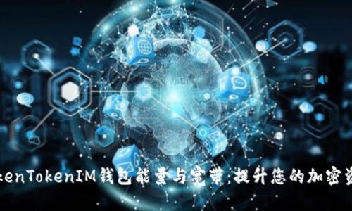 深入解析TokenTokenIM钱包能量与宽带：提升您的加密资产管理效率