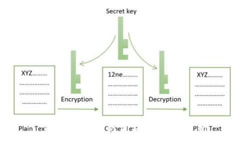 Tokenim最新价格及市场分析