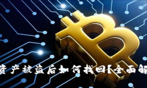 Tokenim钱包资产被盗后如何找回？全面解读与解决方案
