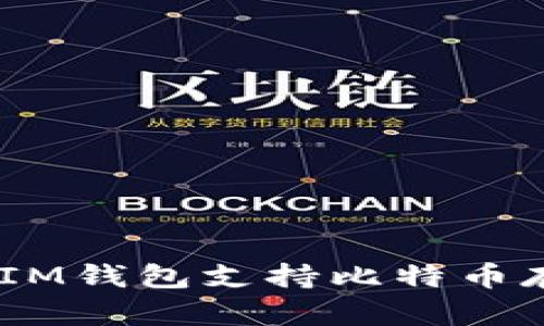 TokenTokenIM钱包支持比特币存储功能详解