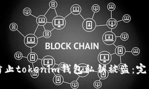 如何防止tokenim钱包私钥被盗：完整指南