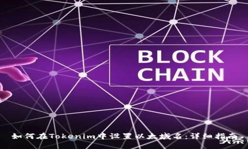 如何在Tokenim中设置以太域名：详细指南