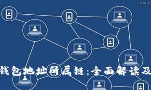Tokenim钱包地址所属链：全面解读及使用指南