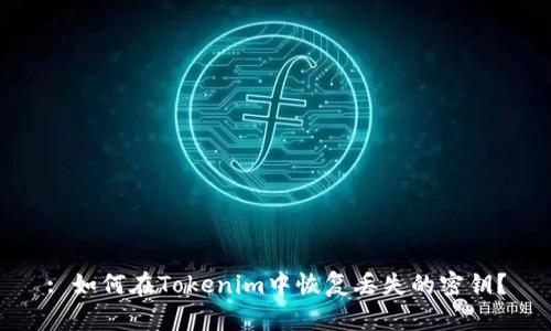 : 如何在Tokenim中恢复丢失的密钥？