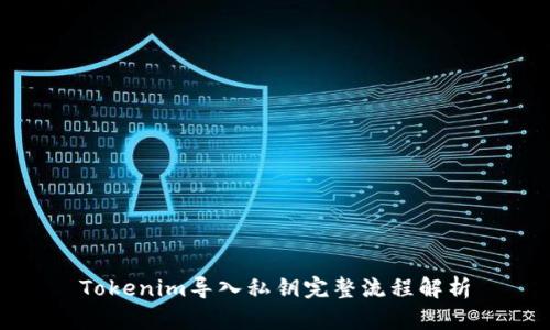 Tokenim导入私钥完整流程解析